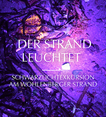 Der Strand leuchtet - Schwarzlichtexkursion am Wohlenberger Strand
