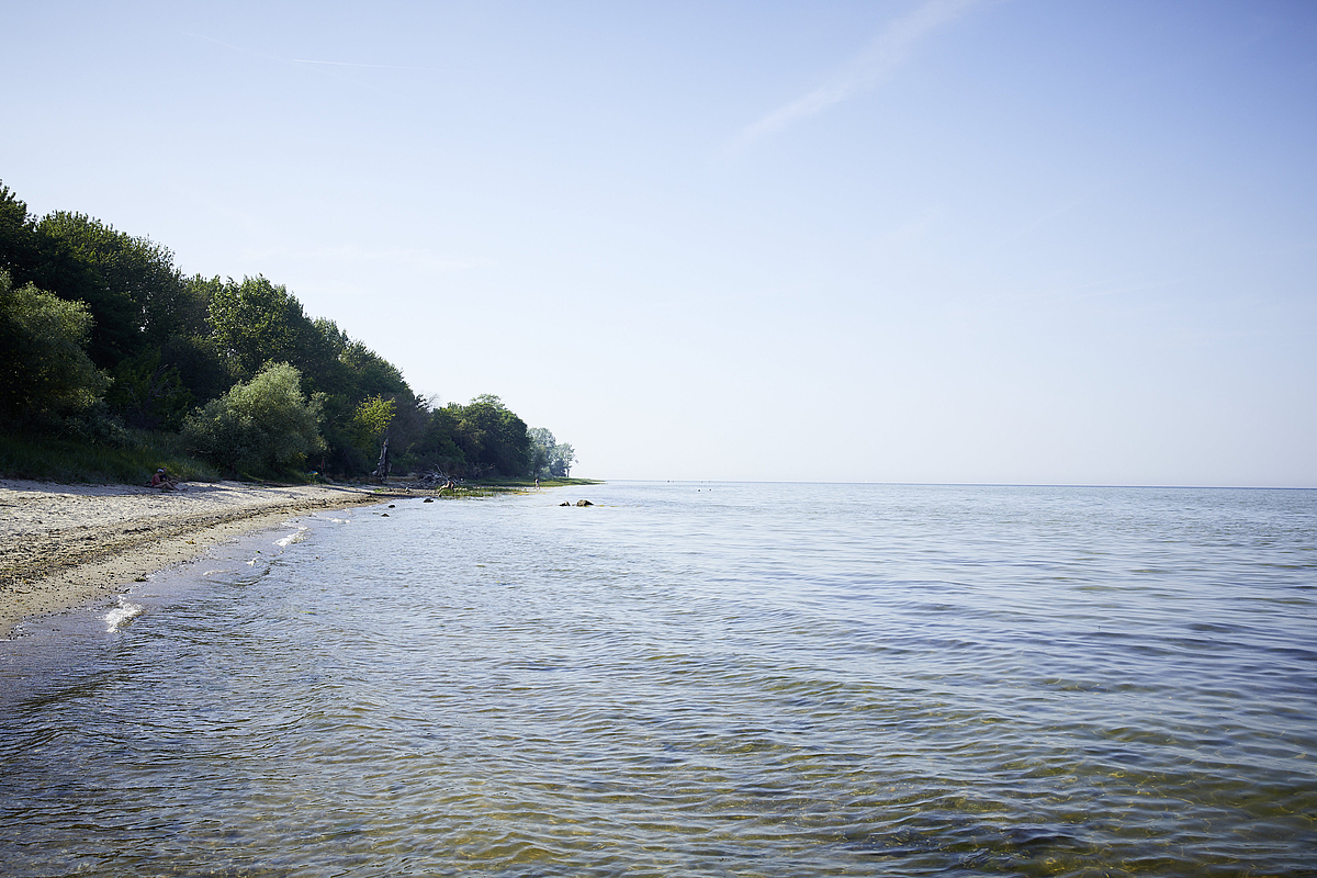 Dünenzauber zu jeder Jahreszeit – Finden Sie Ihre Lieblingszeit in Bades Huk