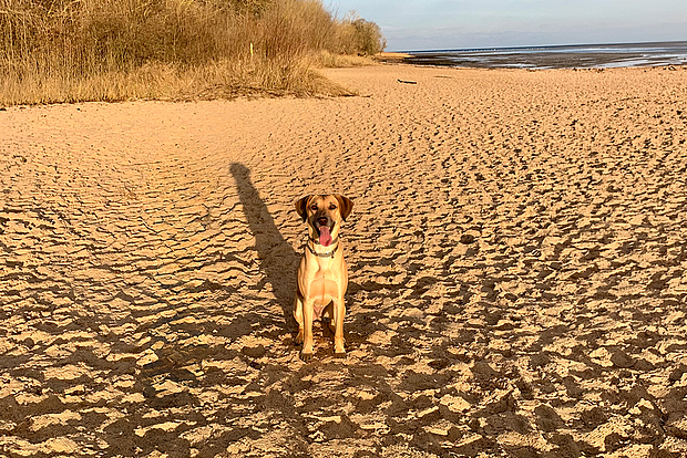 Natur, Strand, Meer und jede Menge Auslauf 