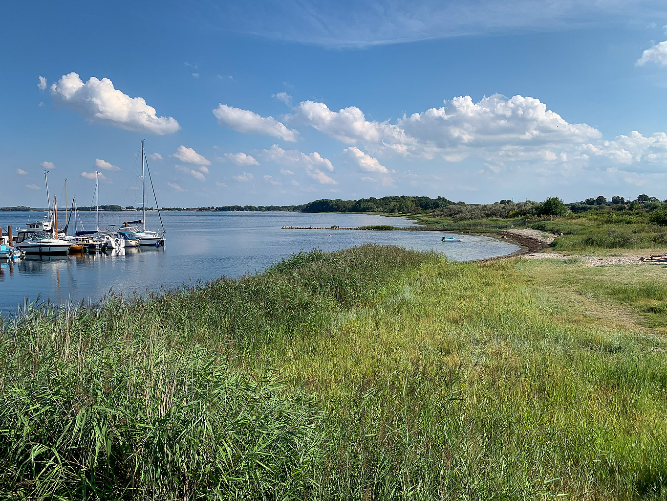 Longevity Urlaub an der Ostsee: Gesundheit, die bleibt