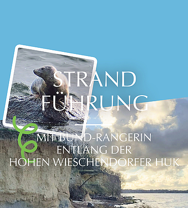 Strandführung mit BUND-Rangerin entlang der Hohen Wieschendorfer Huk