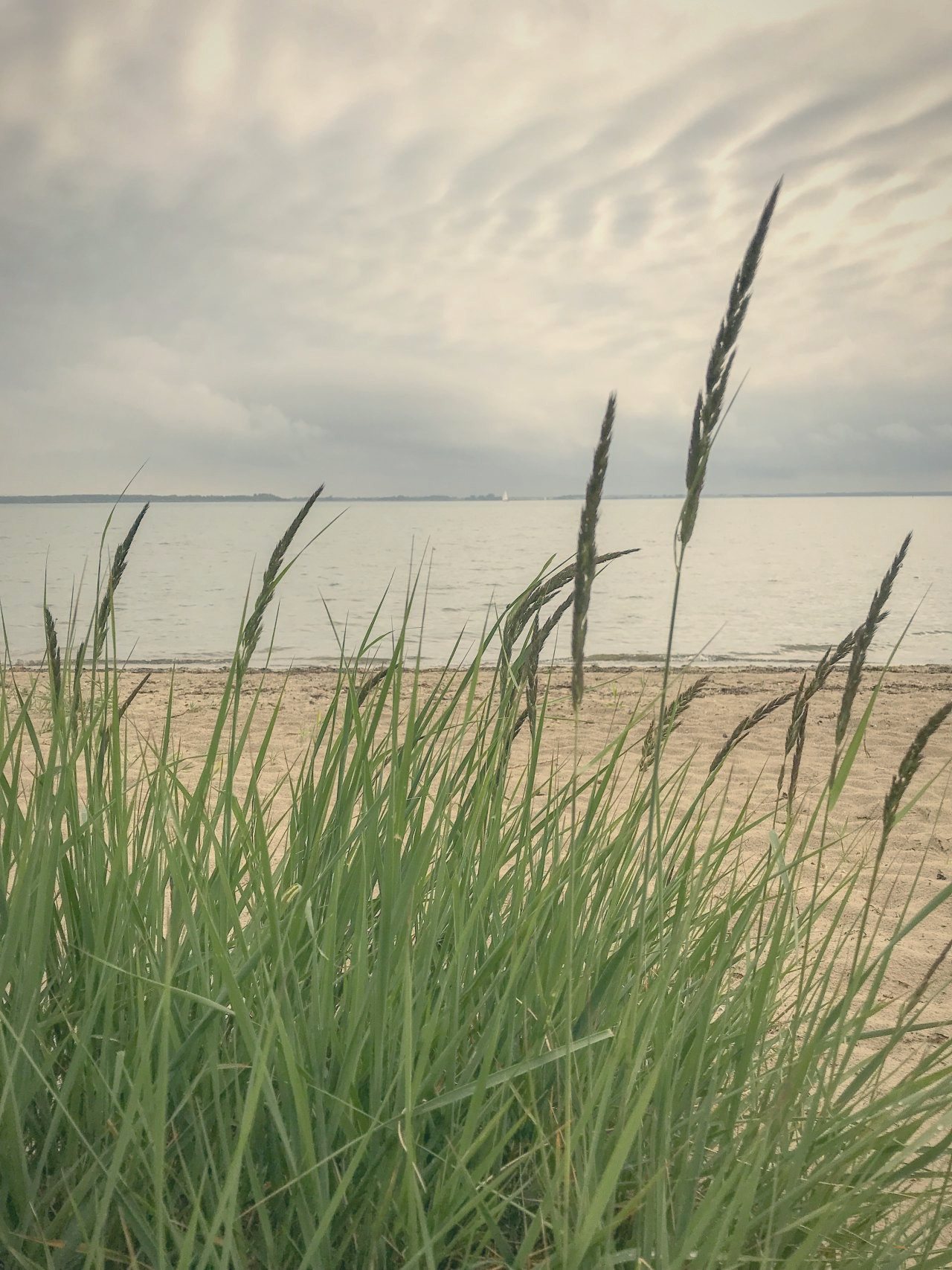 Ostsee & Strand bei Bades Huk