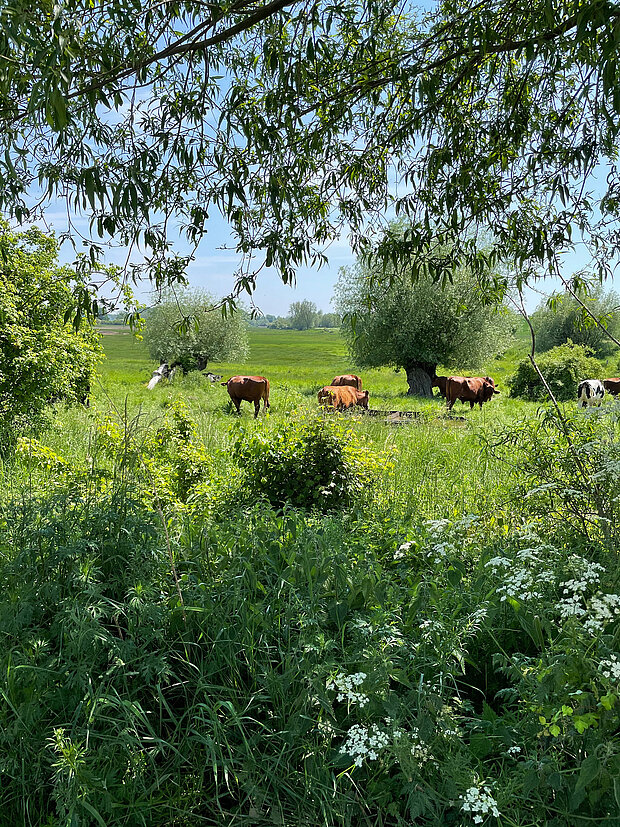 Ein Tag in Bades Huk – Ankommen und wohlfühlen