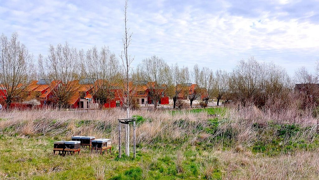 Heimat, Herz und Honig 6 Bienenvölker bereichern das Resort