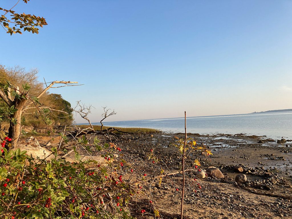 Küstenglück zum Jahresende –  Kleiner Guide für die Ostsee