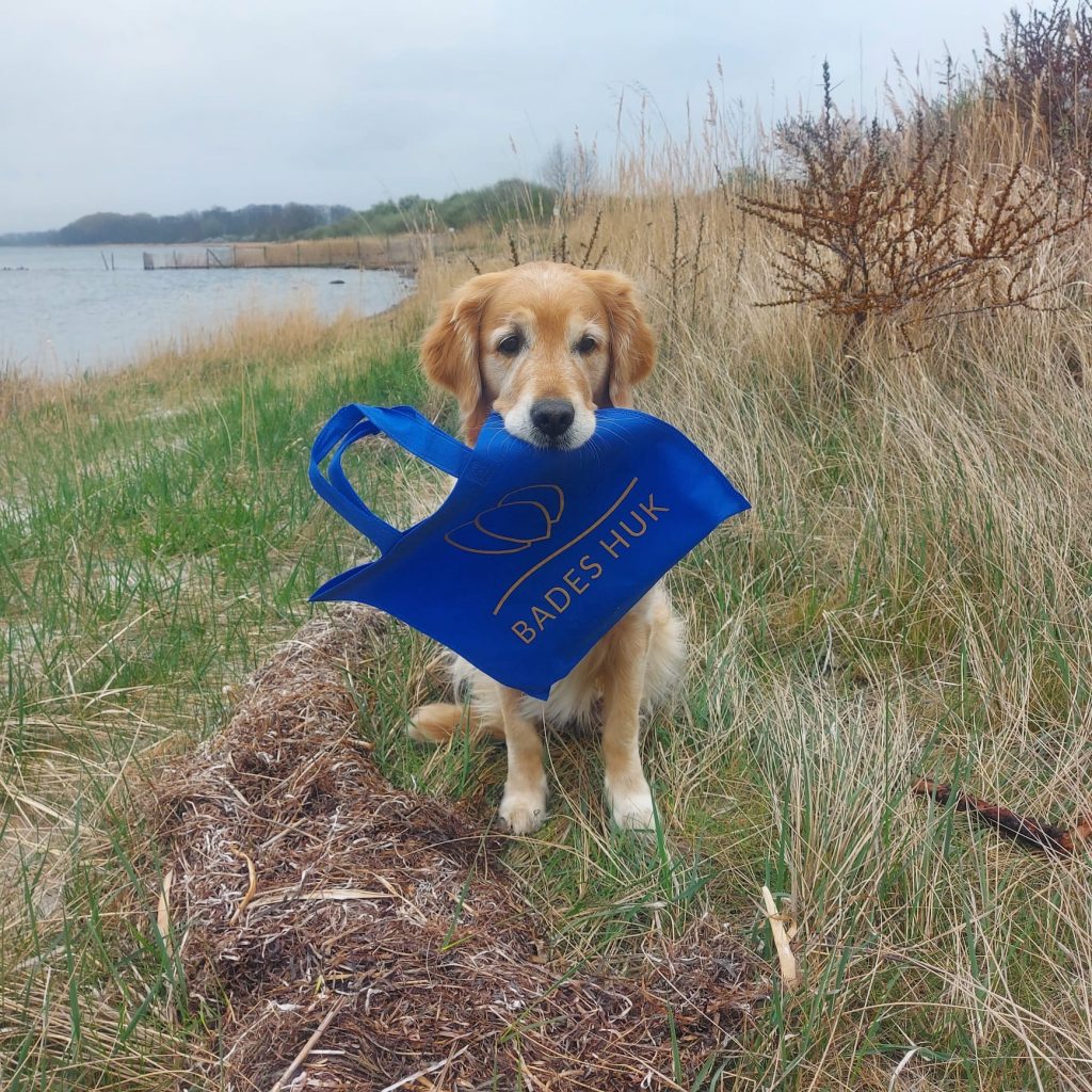 Urlaub mit Hund im Bades Huk Resort an der Ostsee
