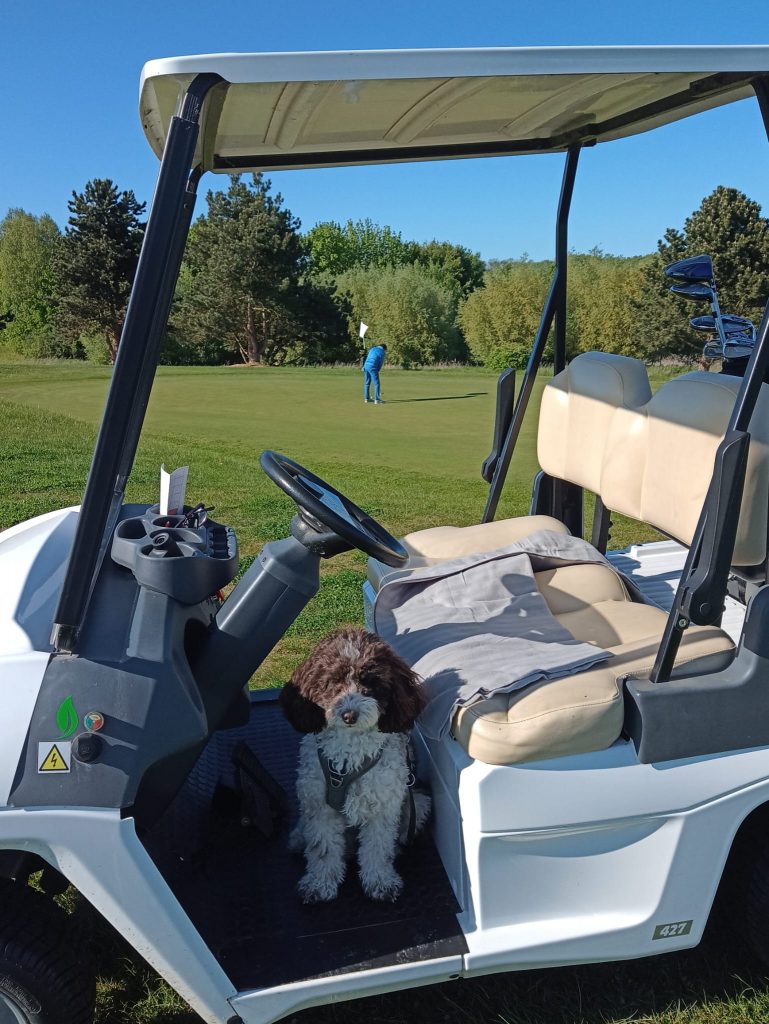 Urlaub mit Hund im Bades Huk Resort an der Ostsee