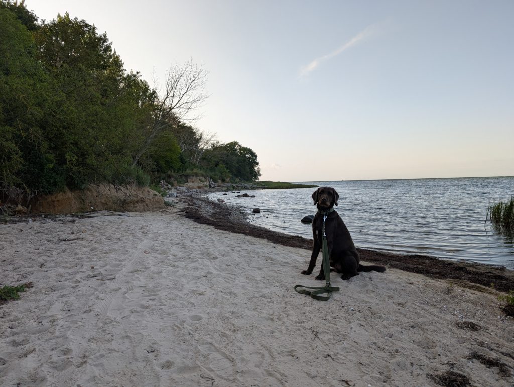 Urlaub mit Hund im Bades Huk Resort an der Ostsee
